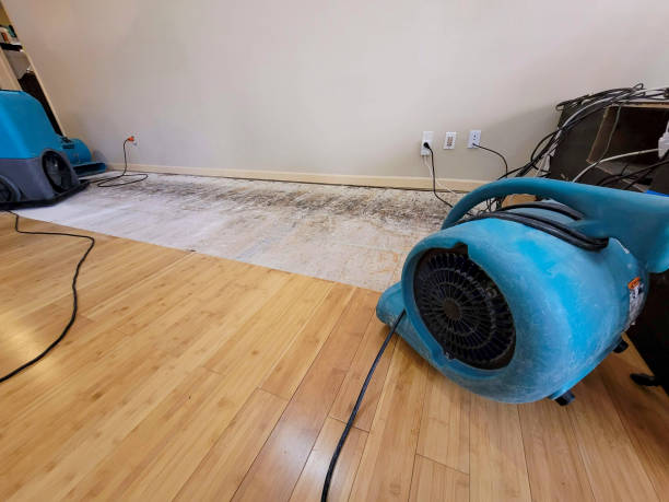 Professional Basement Flood Cleanup technician working in Otisco, IN